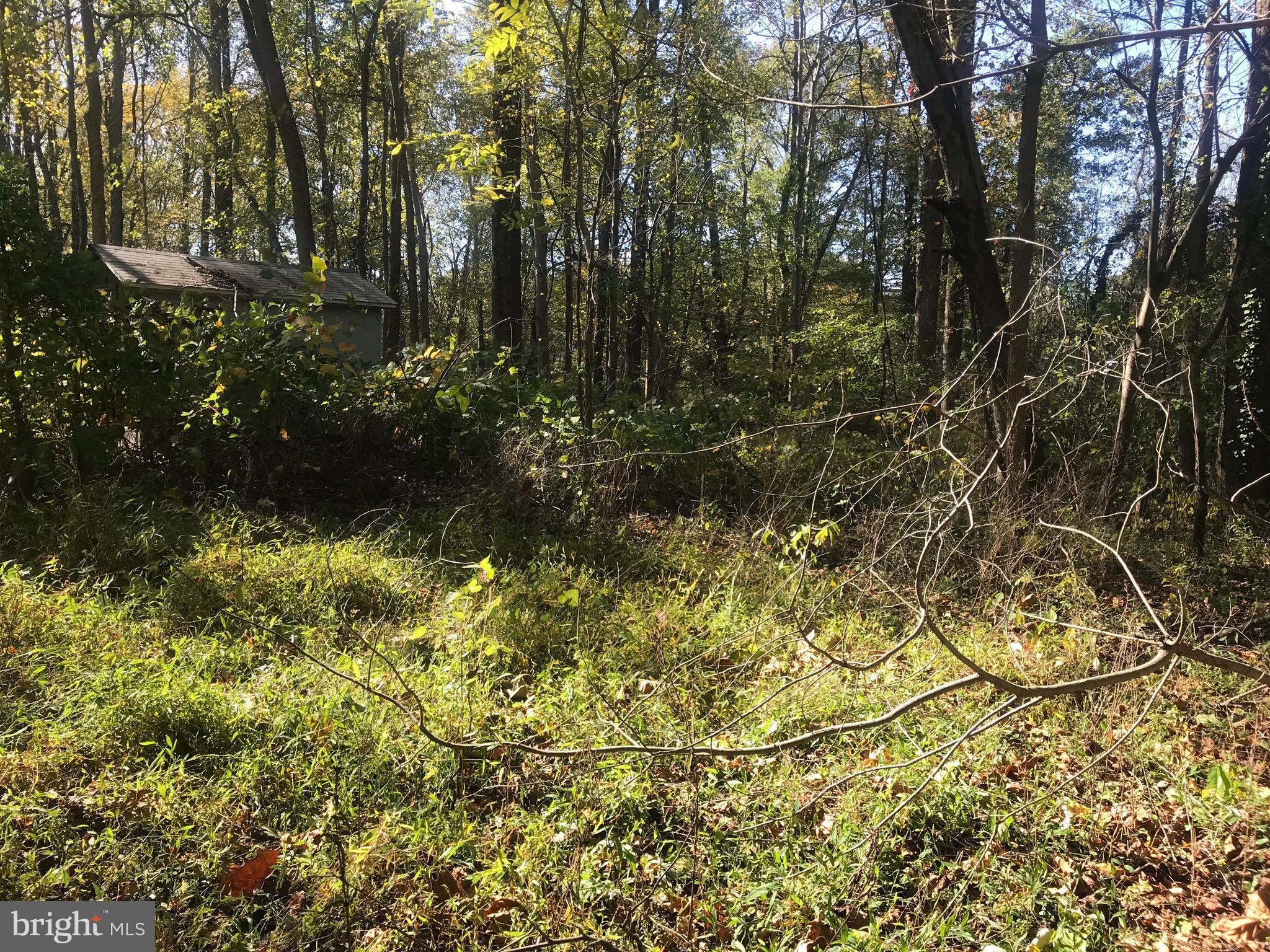 8305 Telegraph Road Lorton, VA 22079 - Photo 3 of 10 This is a wooded 3.58 acre lot with shed.