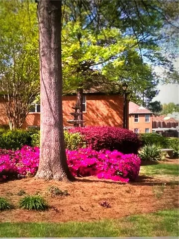 a view of a yard with an tree