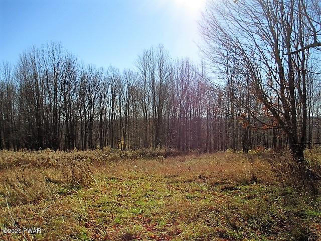 5 Avoy Heights Road Lake Ariel, PA 18436 - Photo 7 of 13 5