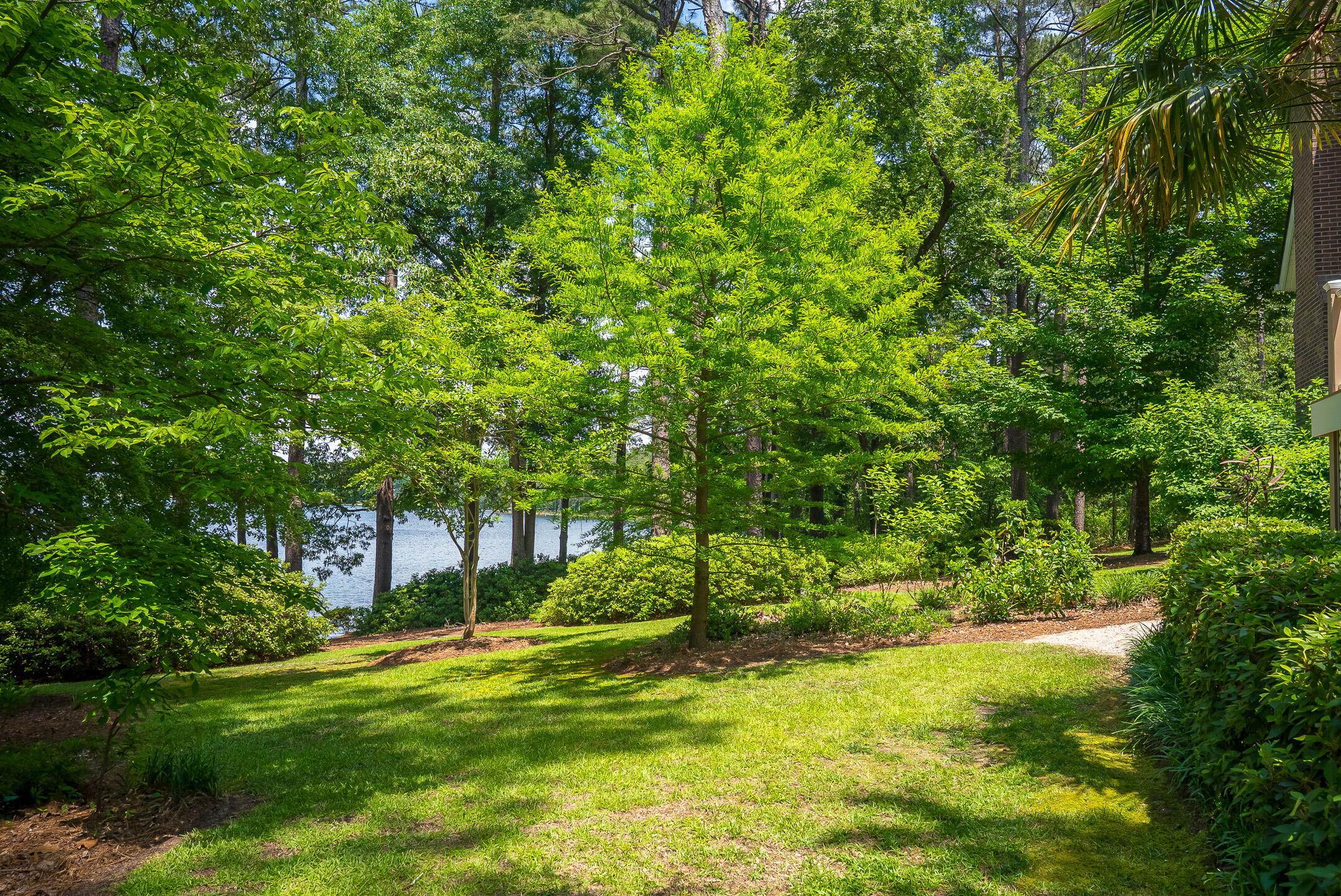 1049 Edisto Lake Road Wagener, SC 29164 - Photo 86 of 96