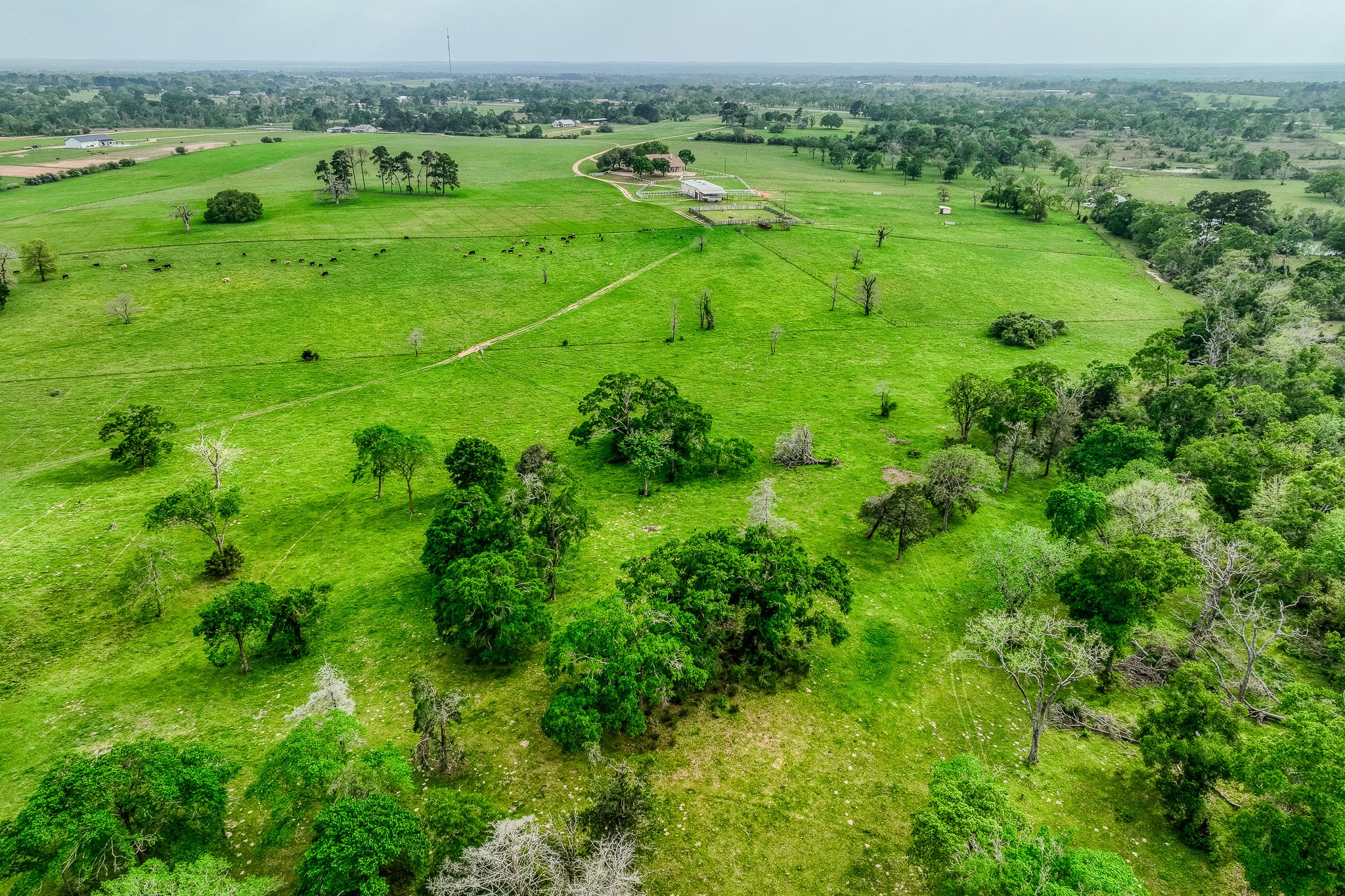 2204 Carter Road Bellville, TX 77418 - Photo 28 of 30 a view of a lush green space