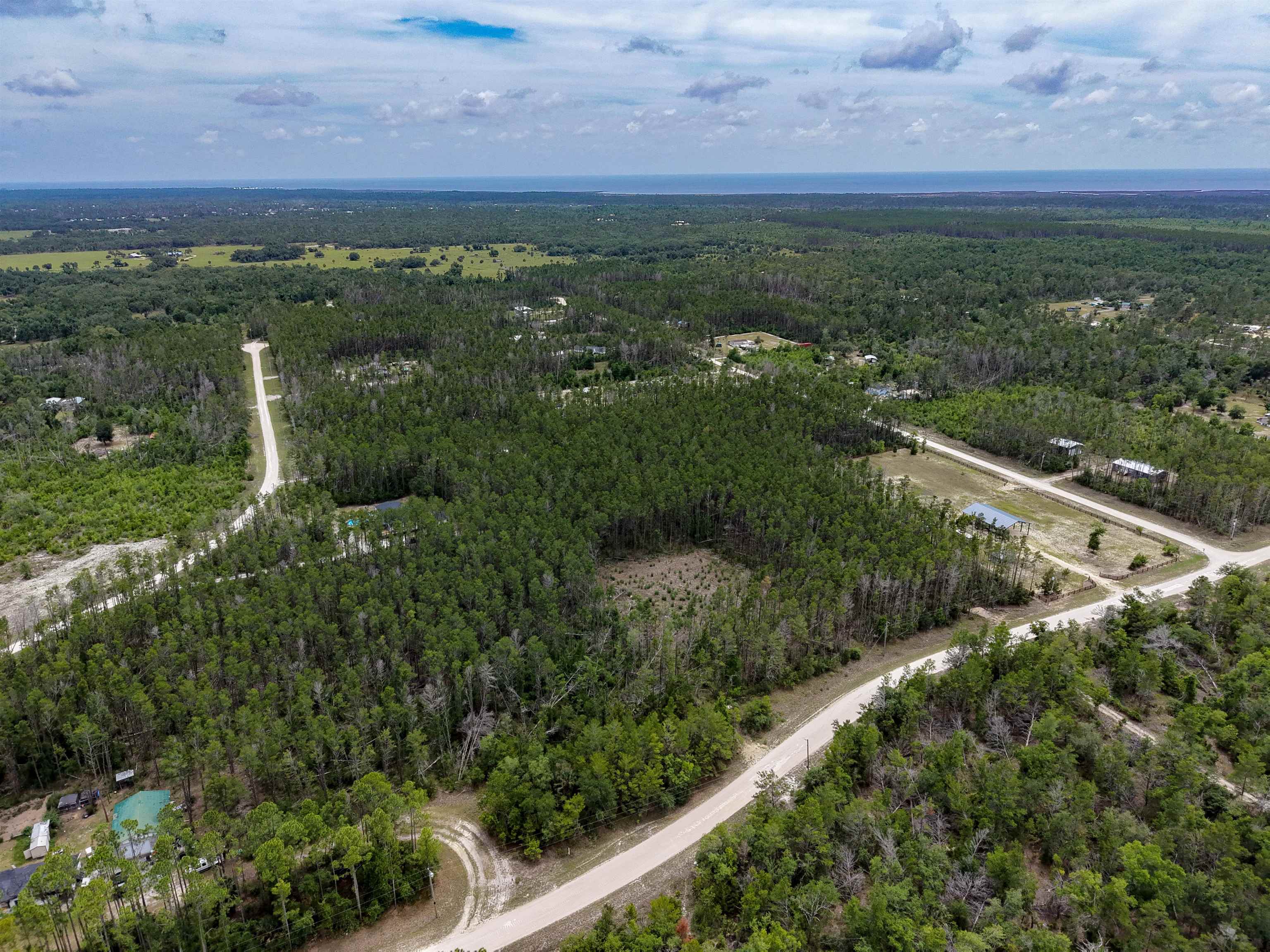 Tbd Ocean Pond Road Perry, FL 32348 - Photo 11 of 21