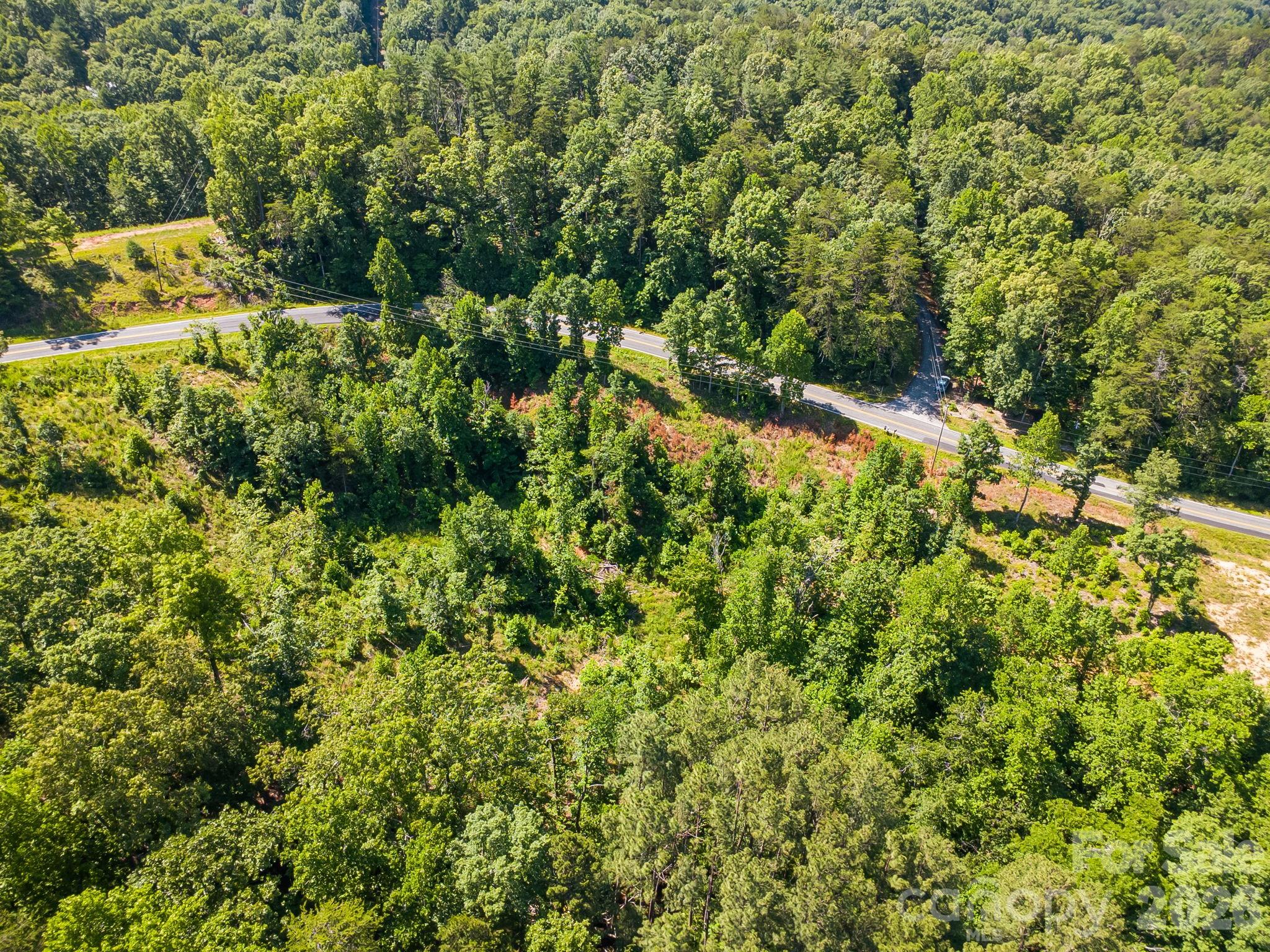 Lot #2 Clark Road Rutherfordton, NC 28139 - Photo 31 of 36