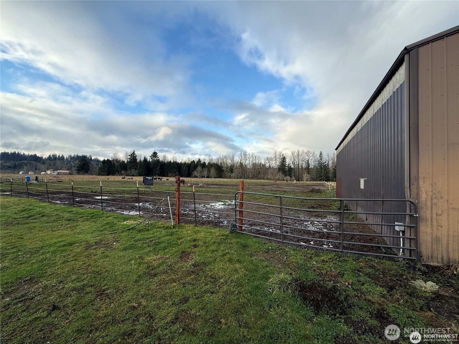 237 Collins Road Toledo, WA 98591 - Photo 11 of 25 a view of a backyard with sitting area
