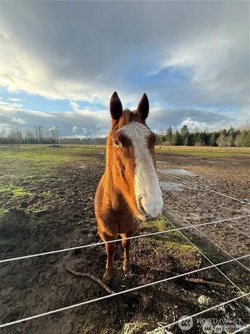 a view of a car in front of a house