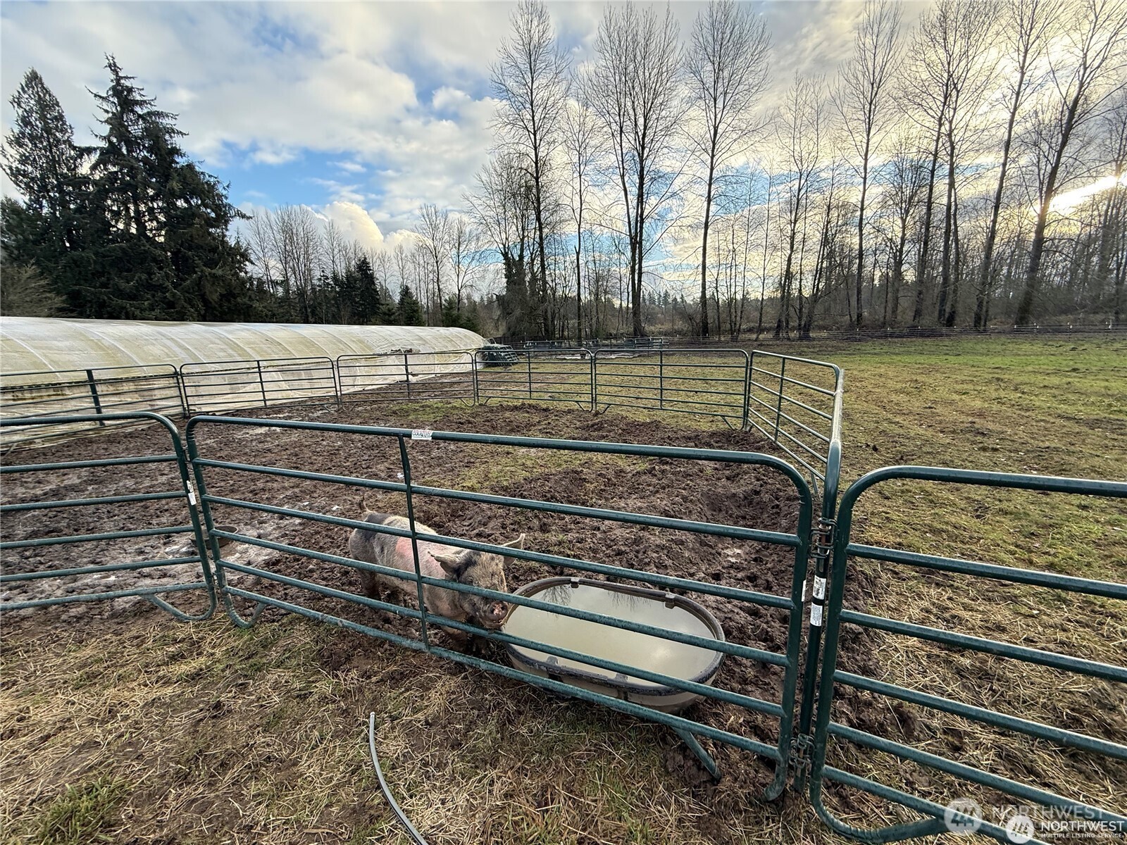 237 Collins Road Toledo, WA 98591 - Photo 10 of 25 a view of a garden