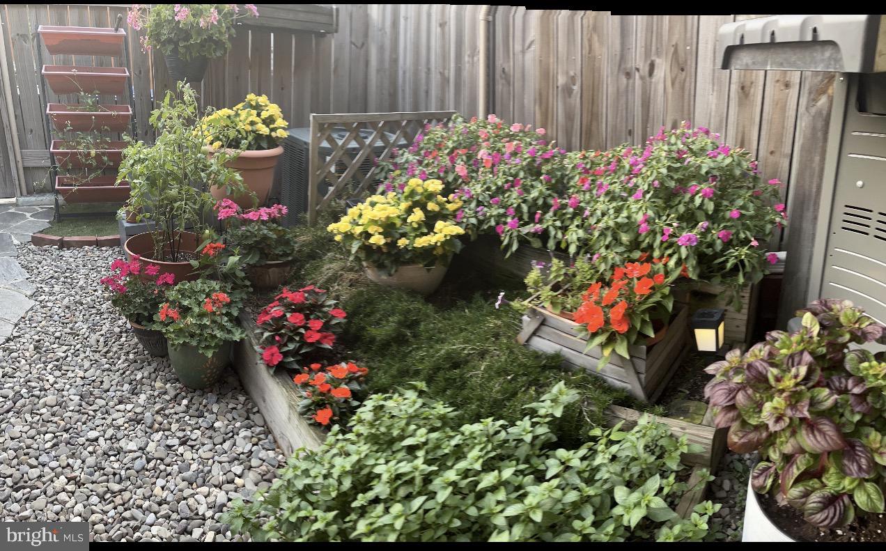 1432 Haubert Street Baltimore, MD 21230 - Photo 31 of 41 Plenty of space for gardening or flowers