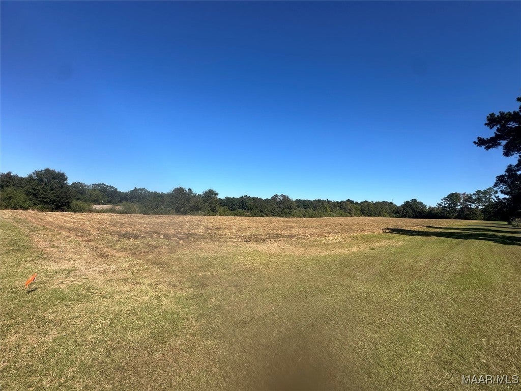 Tbd Dawsey Road Dothan, AL 36305 - Photo 2 of 9 Full View from Right corner