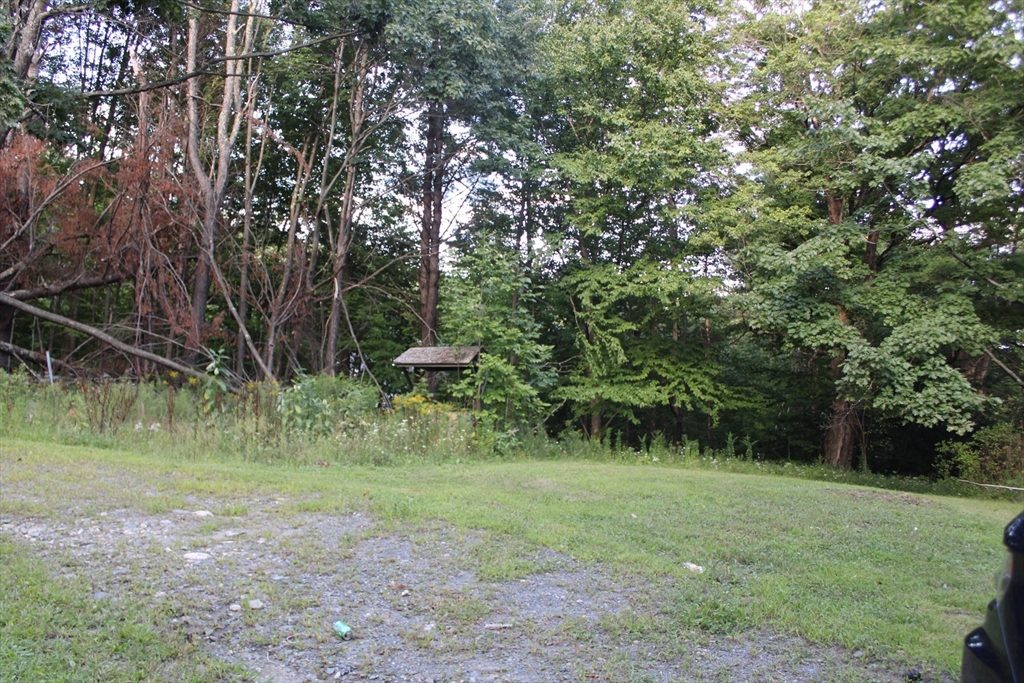 45 Dwight Cross Road Colrain, MA 01340 - Photo 4 of 28 a big yard with lots of green space and deers