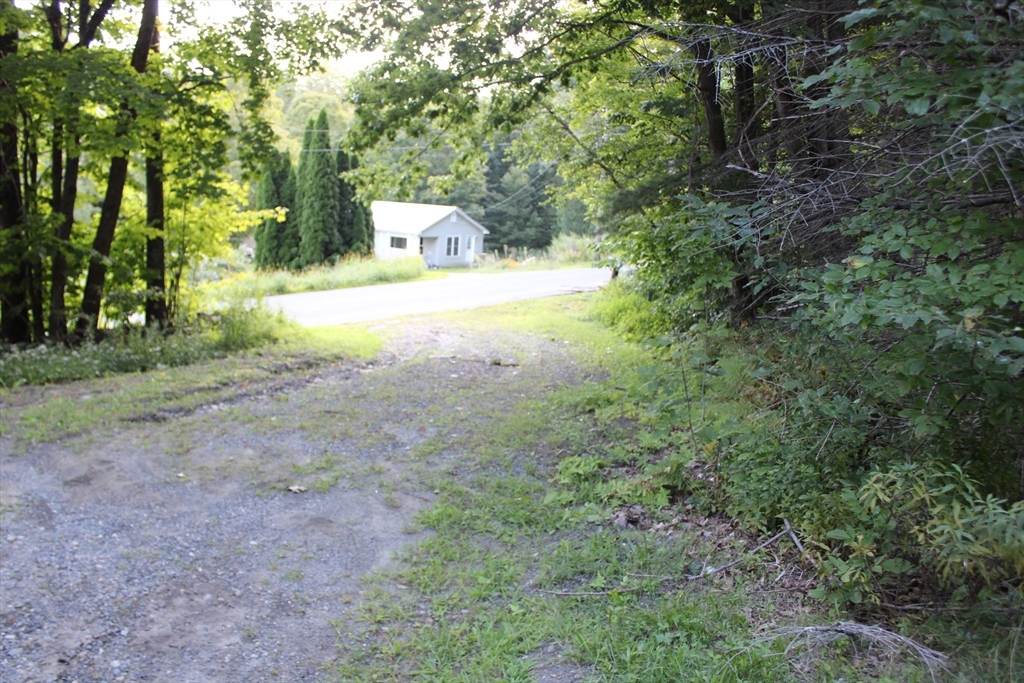 45 Dwight Cross Road Colrain, MA 01340 - Photo 7 of 28 a view of a yard with plants and trees