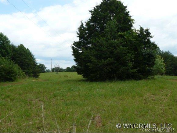 210 Manus Chapel Road Mill Spring, NC 28756 - Photo 1 of 12 Gallery Image 1
