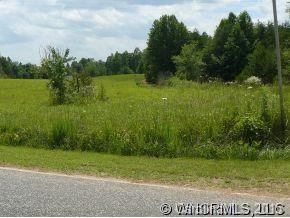 210 Manus Chapel Road Mill Spring, NC 28756 - Photo 2 of 12 Gallery Image 2