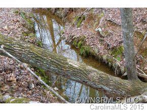 210 Manus Chapel Road Mill Spring, NC 28756 - Photo 11 of 12 Gallery Image 11