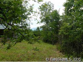 210 Manus Chapel Road Mill Spring, NC 28756 - Photo 12 of 12 Gallery Image 12