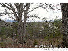 210 Manus Chapel Road Mill Spring, NC 28756 - Photo 10 of 12 Gallery Image 10