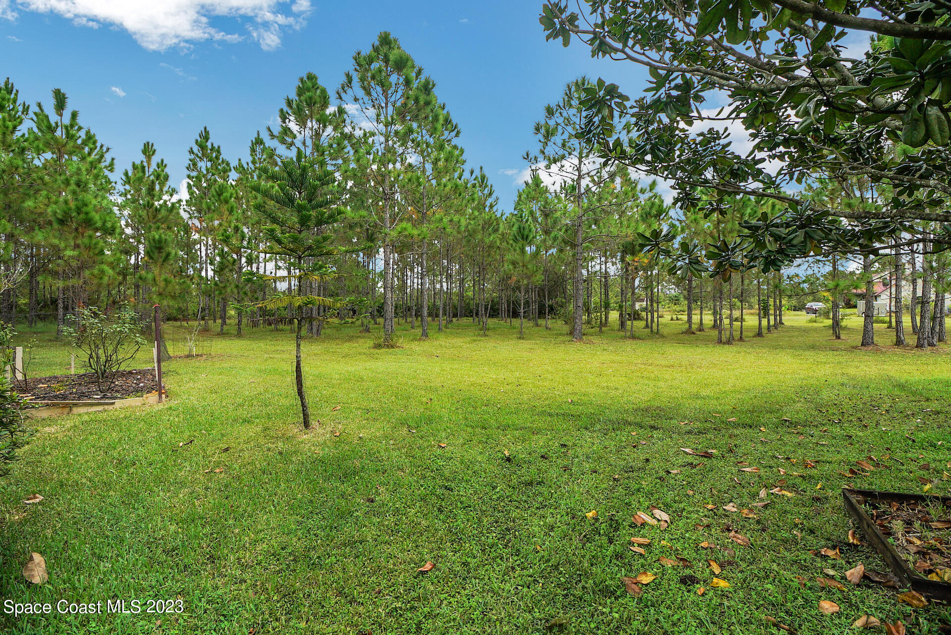 1001 Shellcracker Road Mims, FL 32754 - Photo 11 of 49 12