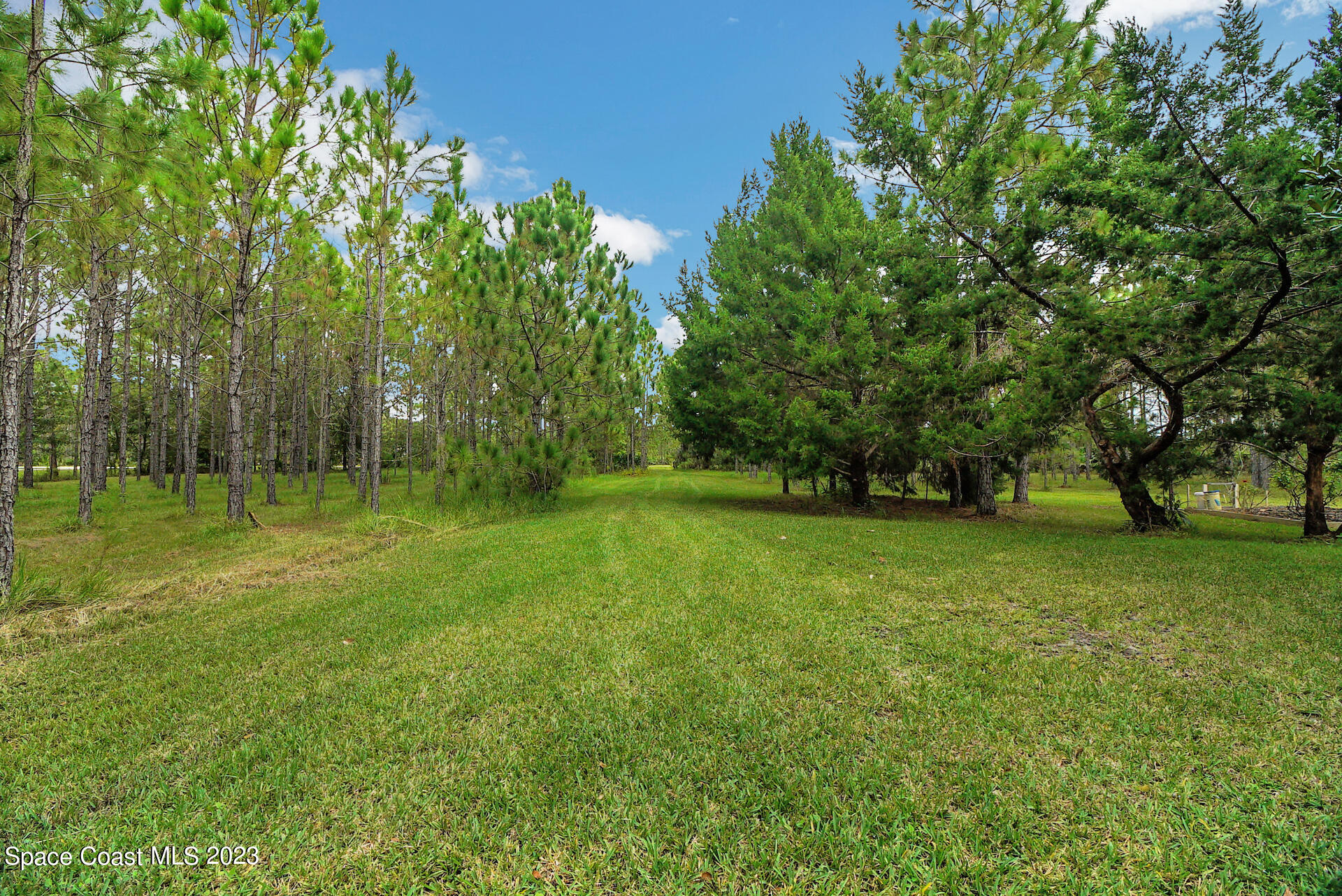 1001 Shellcracker Road Mims, FL 32754 - Photo 12 of 49 13