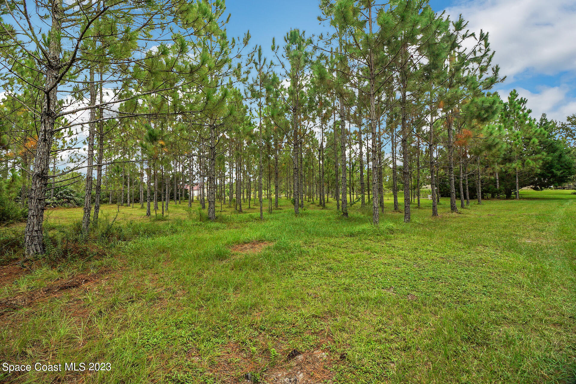 1001 Shellcracker Road Mims, FL 32754 - Photo 38 of 49 39