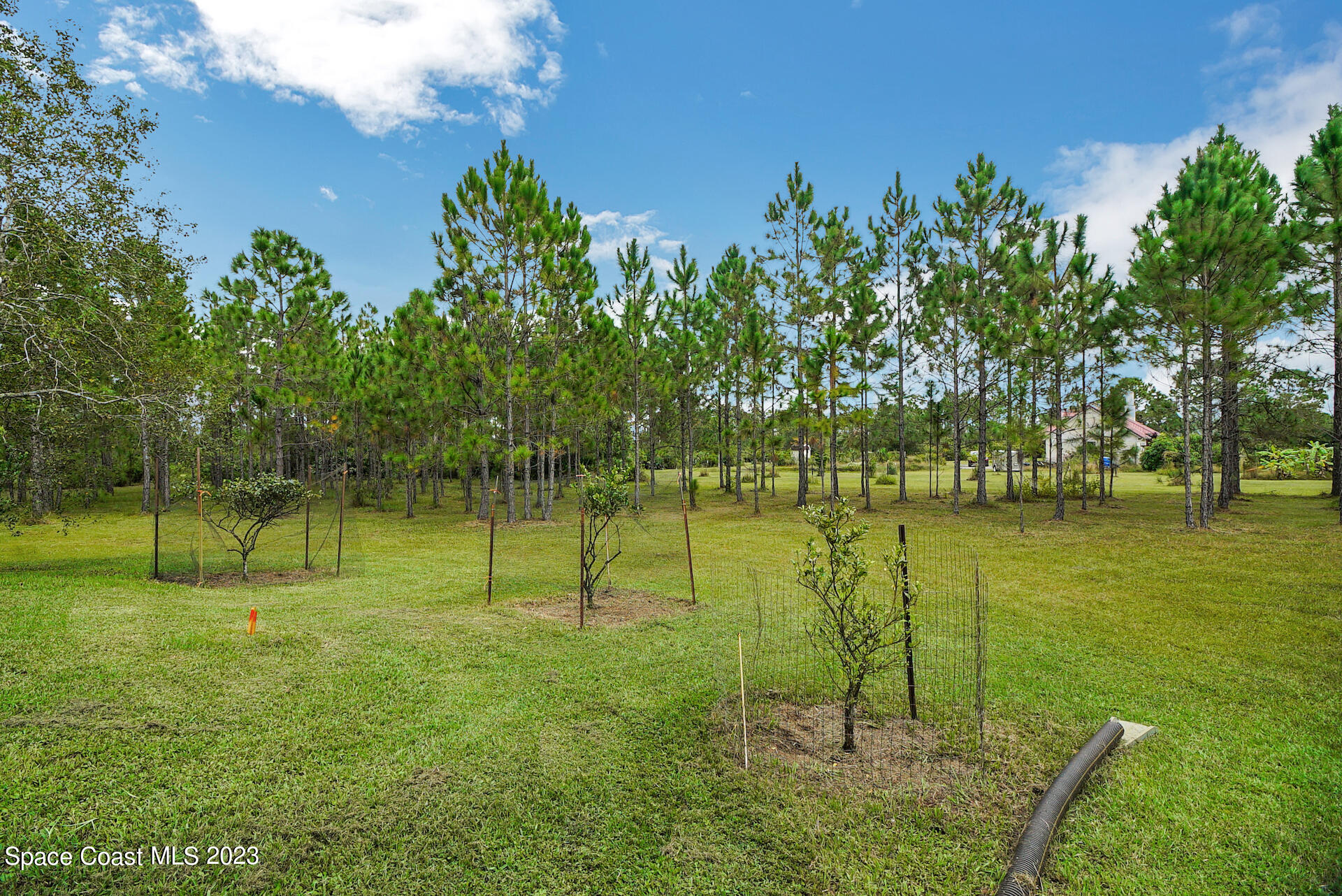 1001 Shellcracker Road Mims, FL 32754 - Photo 39 of 49 40