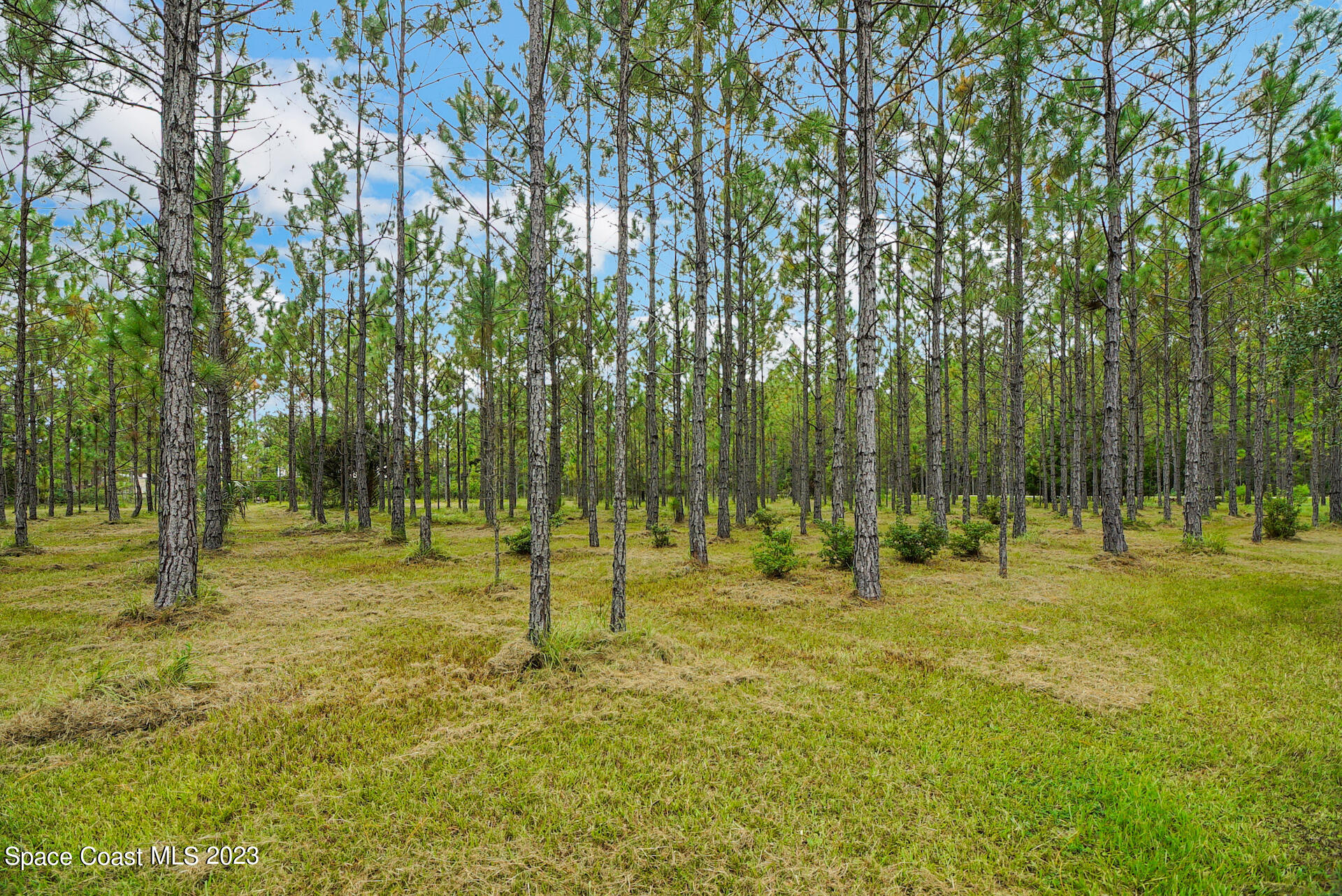 1001 Shellcracker Road Mims, FL 32754 - Photo 40 of 49 41