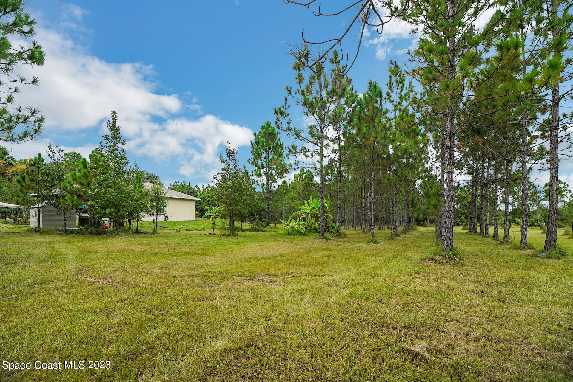 1001 Shellcracker Road Mims, FL 32754 - Photo 43 of 49 44