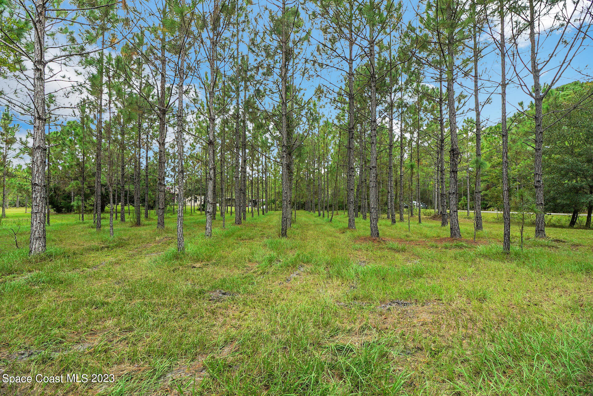1001 Shellcracker Road Mims, FL 32754 - Photo 45 of 49 46