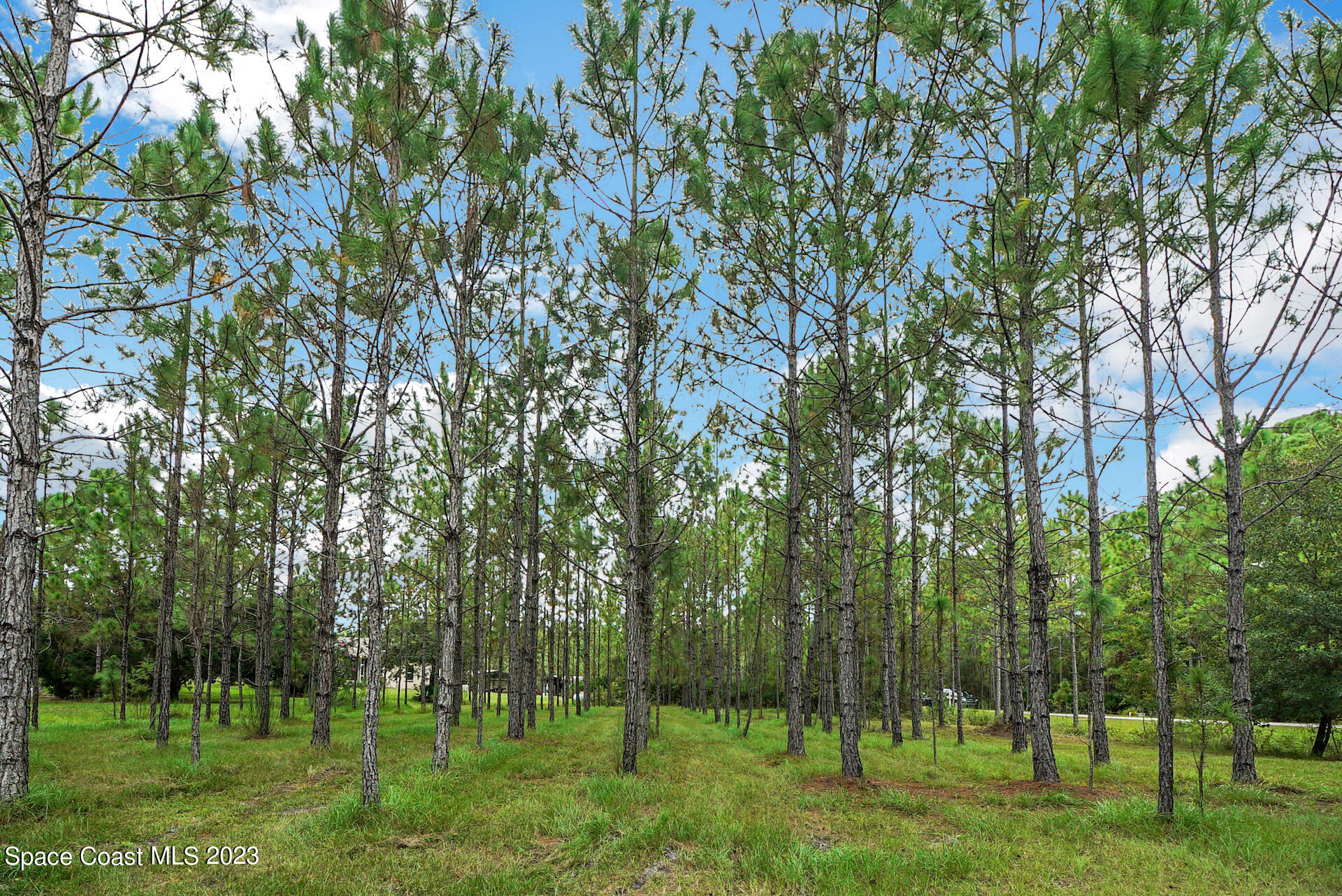 1001 Shellcracker Road Mims, FL 32754 - Photo 46 of 49 47