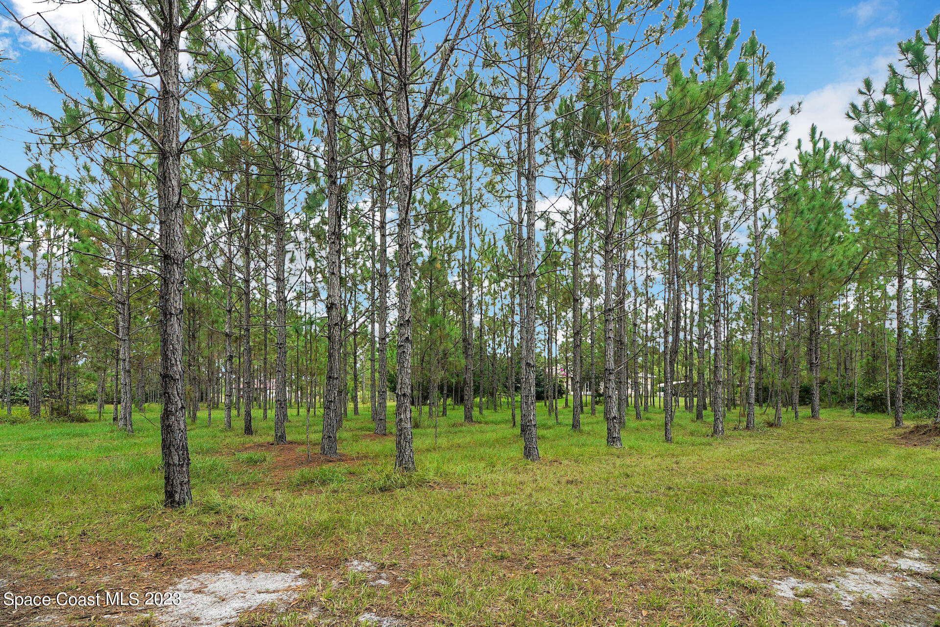 1001 Shellcracker Road Mims, FL 32754 - Photo 47 of 49 48