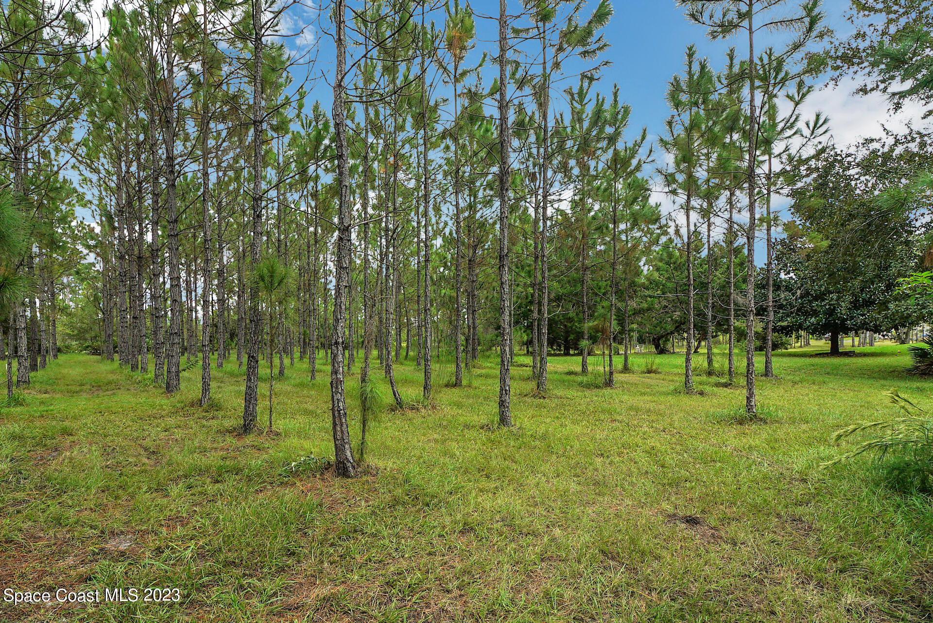 1001 Shellcracker Road Mims, FL 32754 - Photo 48 of 49 49