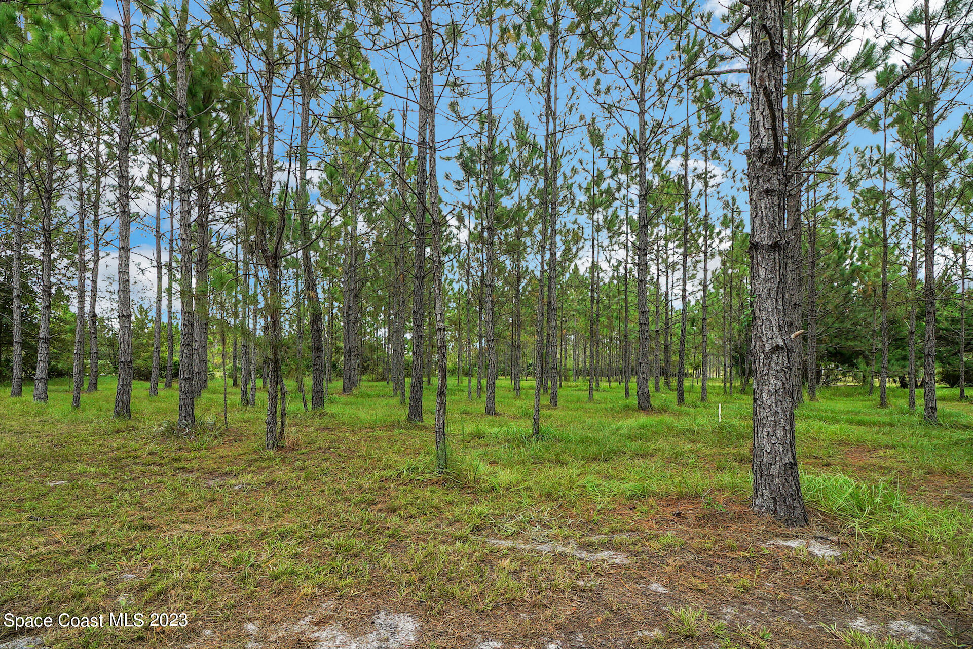 1001 Shellcracker Road Mims, FL 32754 - Photo 49 of 49 50