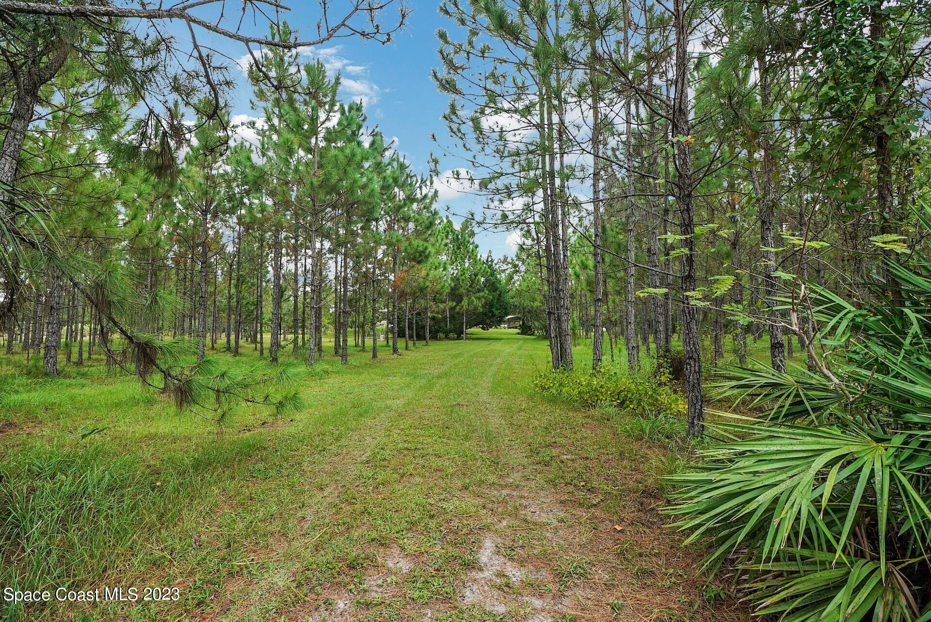 1001 Shellcracker Road Mims, FL 32754 - Photo 7 of 49 LOt 2