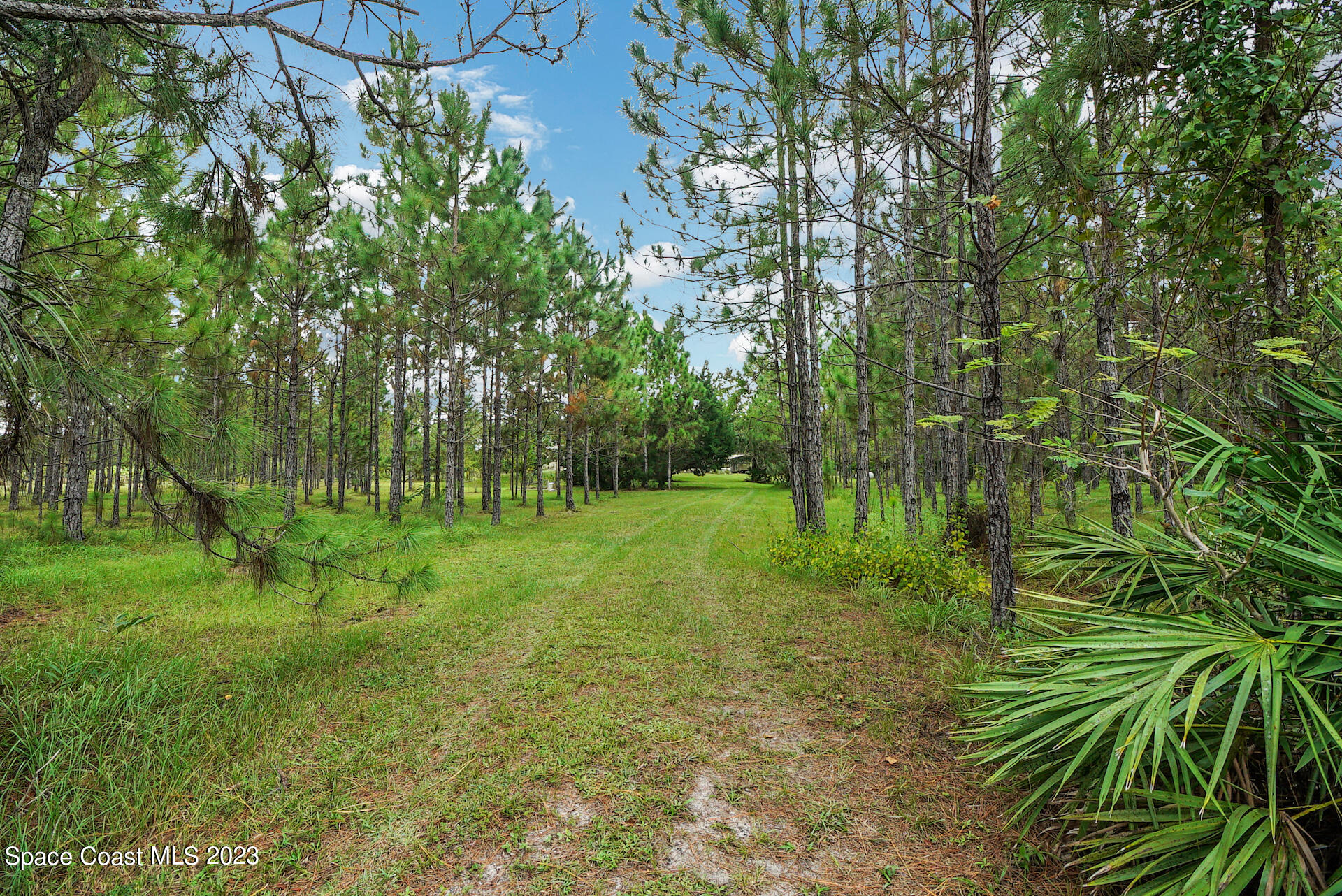 1001 Shellcracker Road Mims, FL 32754 - Photo 9 of 49 10