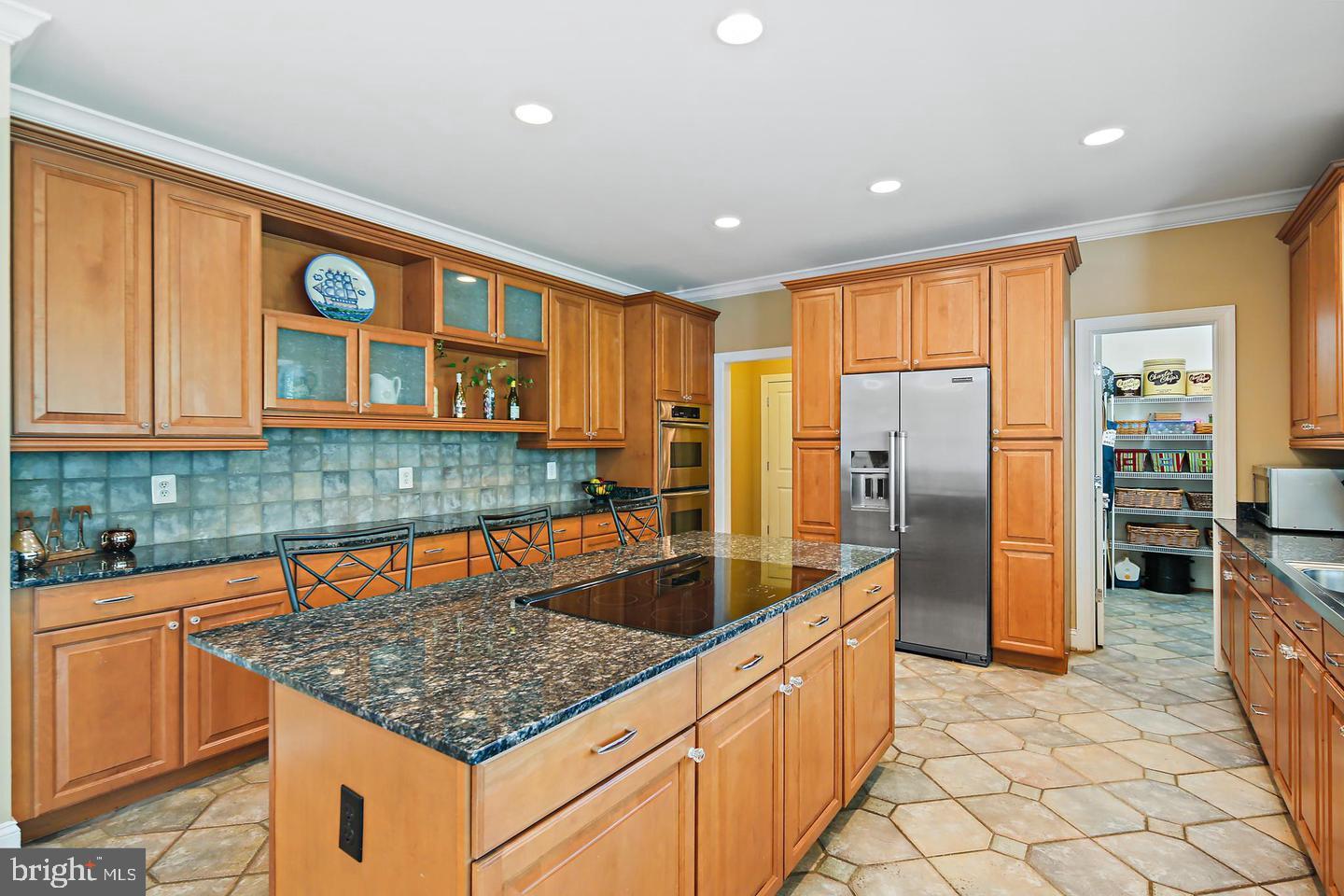 7307 Morgan Road Woodbine, MD 21797 - Photo 8 of 82 Spacious kitchen with elegant finishes.