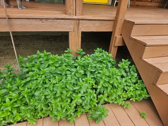 $949,000 | 4963 East County Road 900 South, Cloverdale, IN 46120