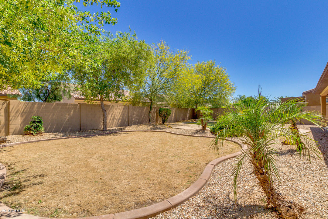 15753 West Berkeley Road Goodyear, AZ 85395 - Photo 29 of 35 37-Berkeley