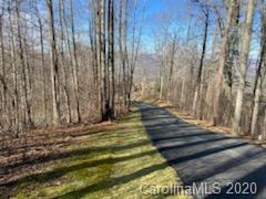 22 Austin Ridge Burnsville, NC 28714 - Photo 3 of 11