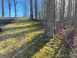 22 Austin Ridge Burnsville, NC 28714 - Photo 4 of 11