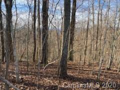 22 Austin Ridge Burnsville, NC 28714 - Photo 6 of 11