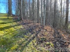 22 Austin Ridge Burnsville, NC 28714 - Photo 8 of 11