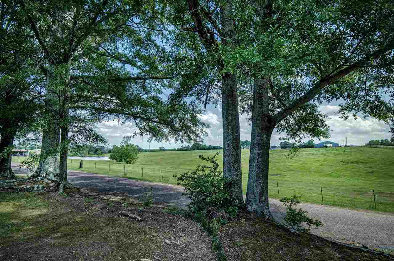 178 Tugwell Road Magee, MS 39111 - Photo 5 of 44 Photo 6