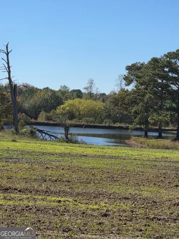 $750,000 | 50-ac Mount Carmel Road, Senoia, GA 30276