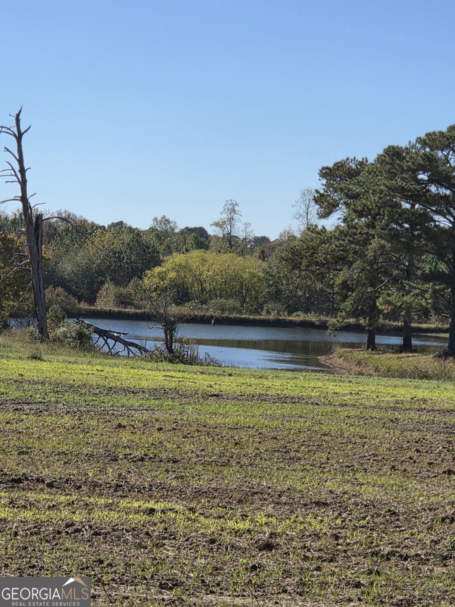 50-ac Mount Carmel Road Senoia, GA 30276 - Photo 1 of 8 a view of a yard