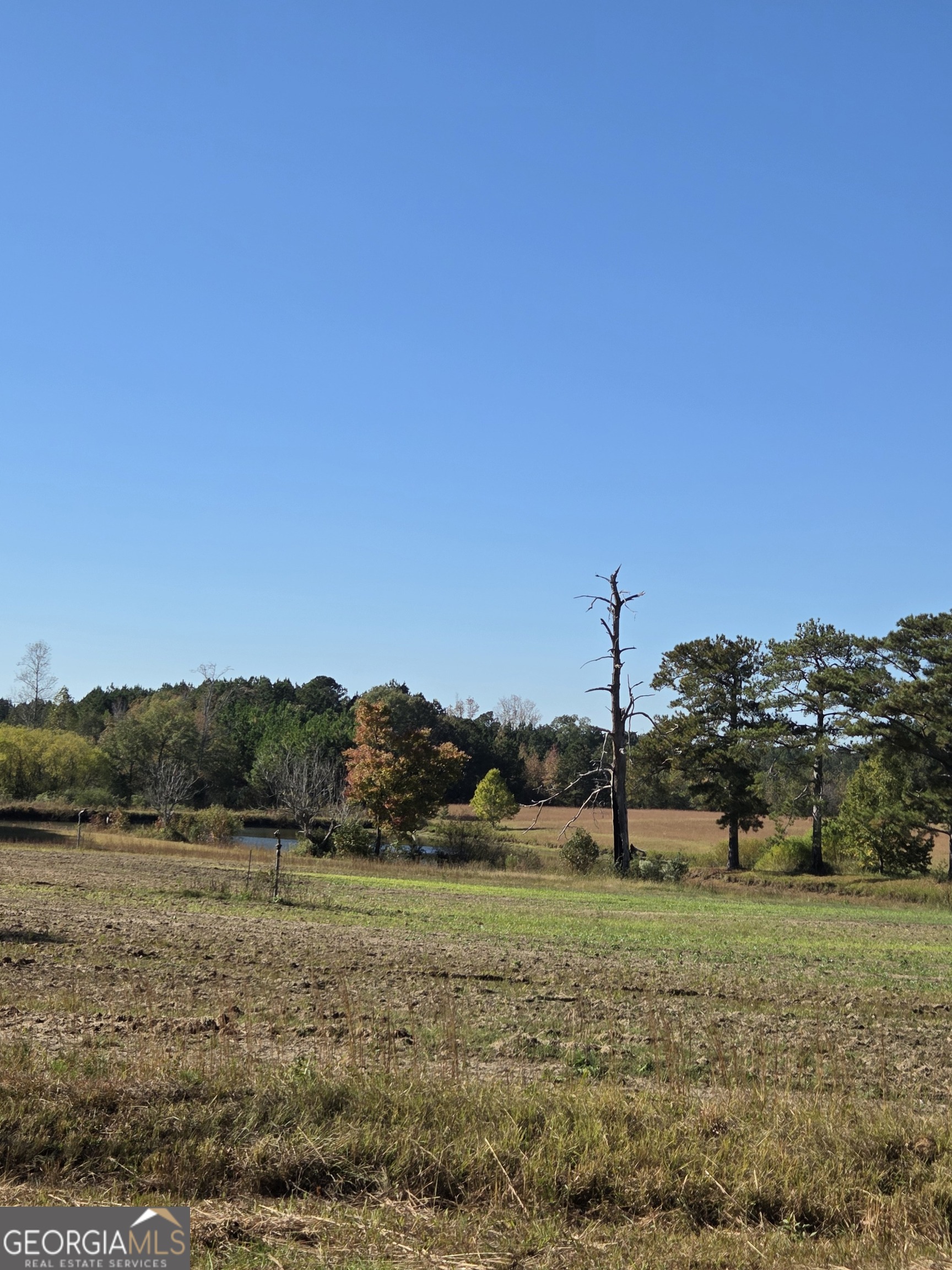 50-ac Mount Carmel Road Senoia, GA 30276 - Photo 3 of 8 a view of a field with a tree