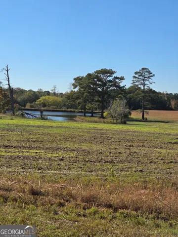 $750,000 | 50-ac Mount Carmel Road, Senoia, GA 30276