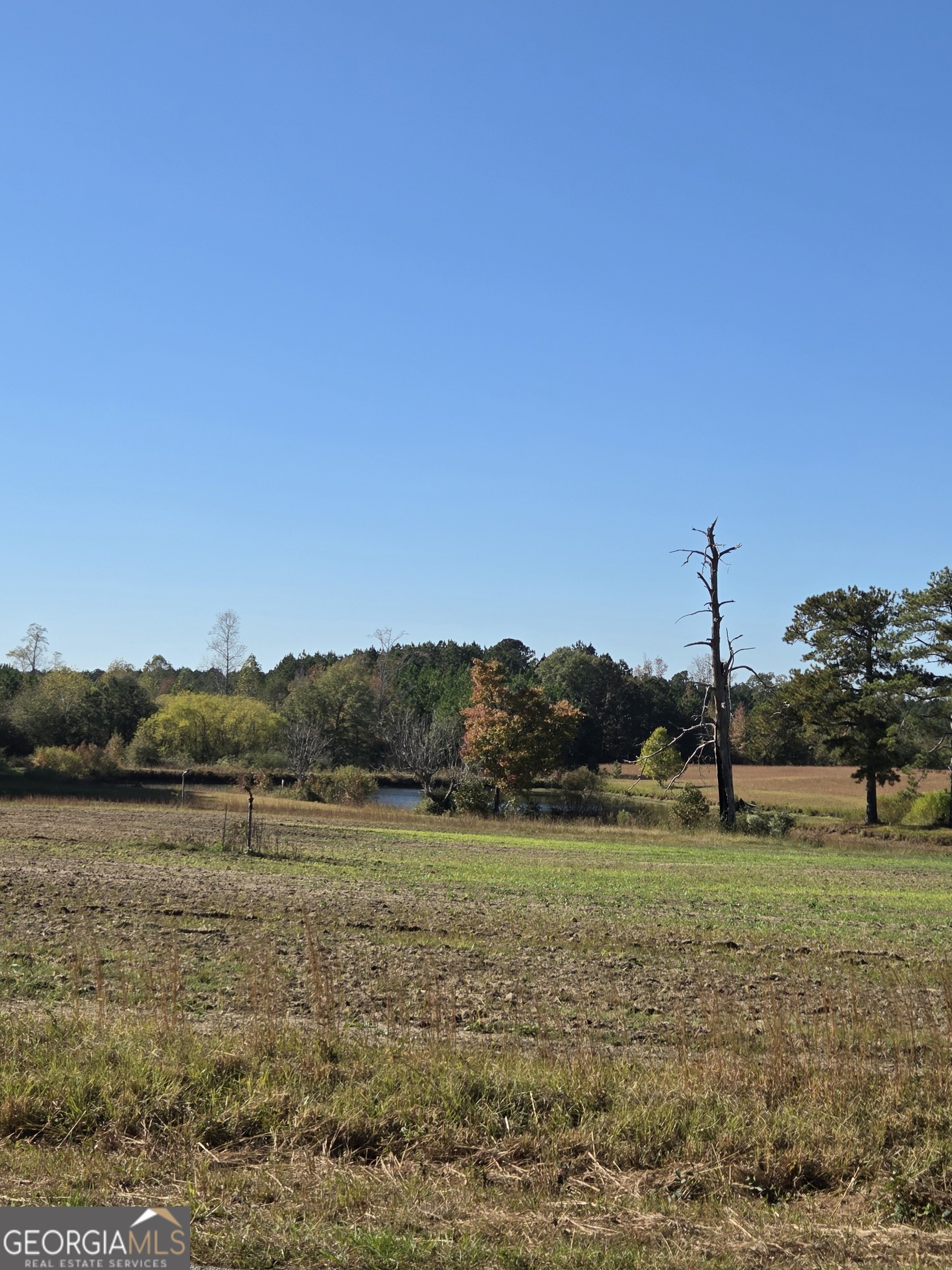 50-ac Mount Carmel Road Senoia, GA 30276 - Photo 5 of 8 a view of a lake with a big yard