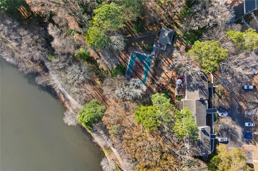 263 Quail Run Roswell, GA 30076 - Photo 42 of 47 a plant with lots of plants and trees