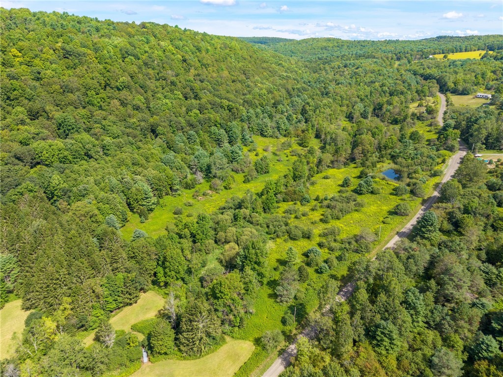 212 Morrell Road Worcester, NY 12197 - Photo 13 of 26