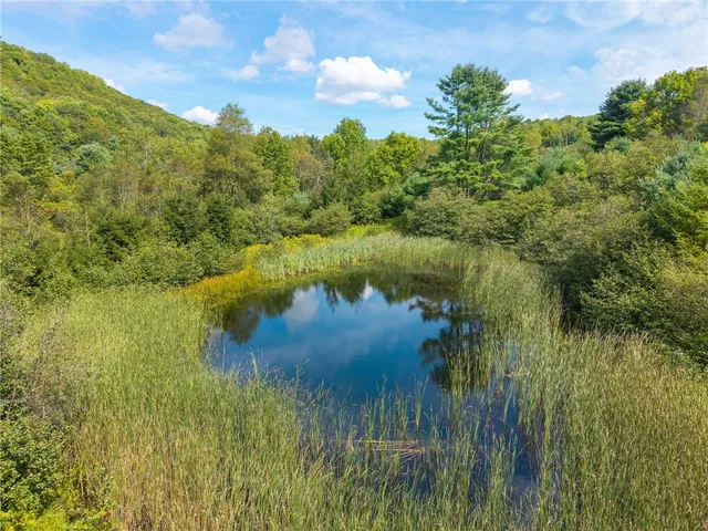 $299,000 | 212 Morrell Road, Worcester, NY 12197