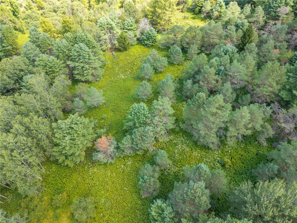 212 Morrell Road Worcester, NY 12197 - Photo 22 of 26