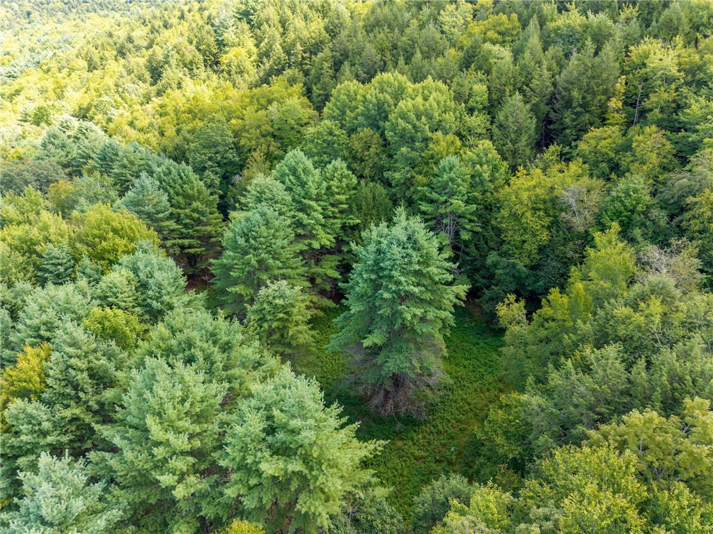 212 Morrell Road Worcester, NY 12197 - Photo 23 of 26